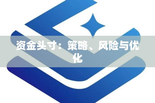 资金头寸：策略、风险与优化