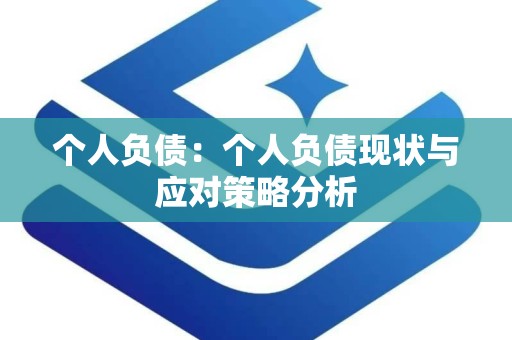个人负债：个人负债现状与应对策略分析