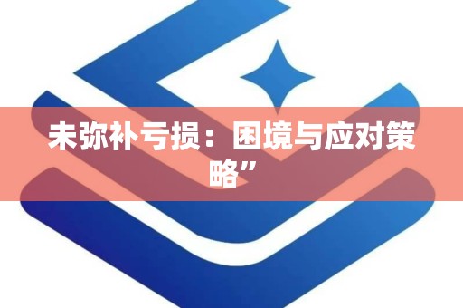 未弥补亏损：困境与应对策略”