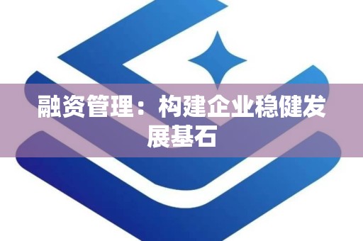 融资管理：构建企业稳健发展基石