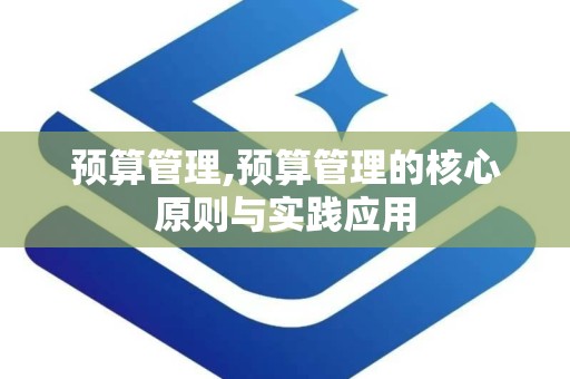 预算管理,预算管理的核心原则与实践应用