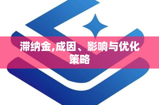 滞纳金,成因、影响与优化策略