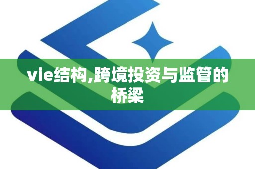 vie结构,跨境投资与监管的桥梁