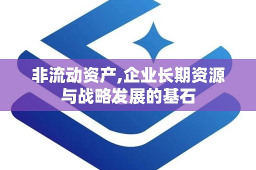 非流动资产,企业长期资源与战略发展的基石