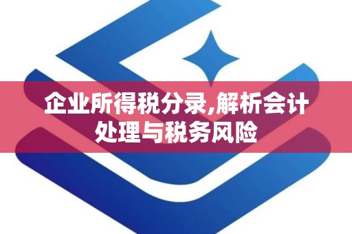 企业所得税分录,解析会计处理与税务风险
