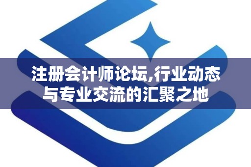 注册会计师论坛,行业动态与专业交流的汇聚之地