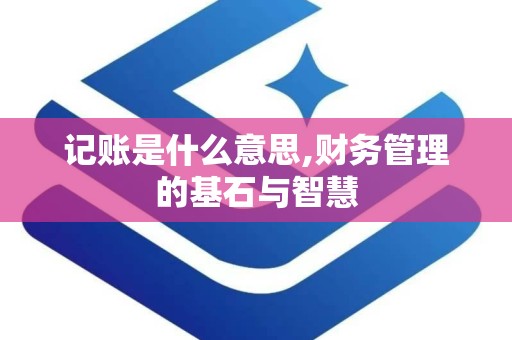 记账是什么意思,财务管理的基石与智慧