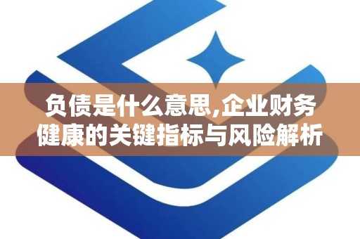 负债是什么意思,企业财务健康的关键指标与风险解析