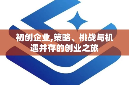 初创企业,策略、挑战与机遇并存的创业之旅