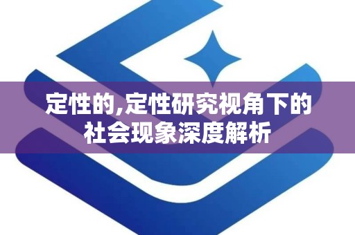 定性的,定性研究视角下的社会现象深度解析