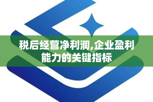 税后经营净利润,企业盈利能力的关键指标