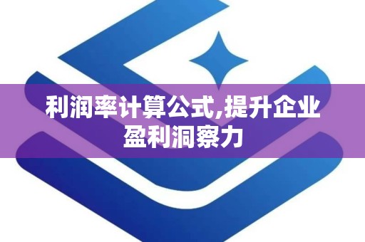 利润率计算公式,提升企业盈利洞察力