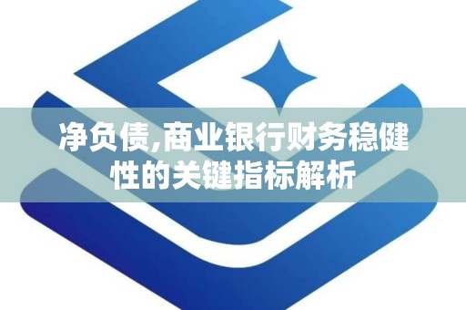净负债,商业银行财务稳健性的关键指标解析