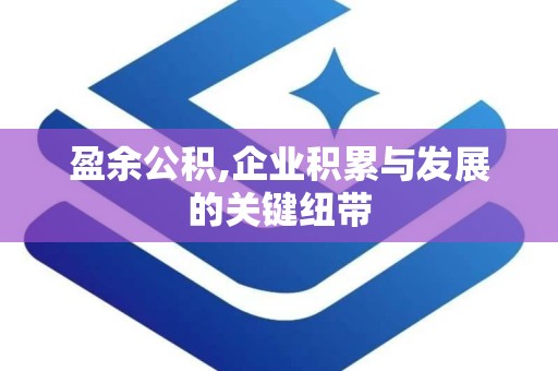 盈余公积,企业积累与发展的关键纽带