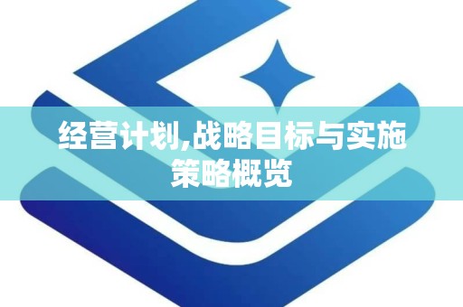 经营计划,战略目标与实施策略概览