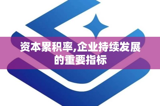 资本累积率,企业持续发展的重要指标