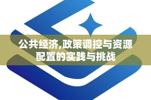 公共经济,政策调控与资源配置的实践与挑战