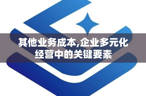 其他业务成本,企业多元化经营中的关键要素