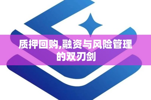 质押回购,融资与风险管理的双刃剑
