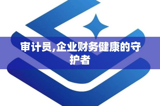 审计员,企业财务健康的守护者