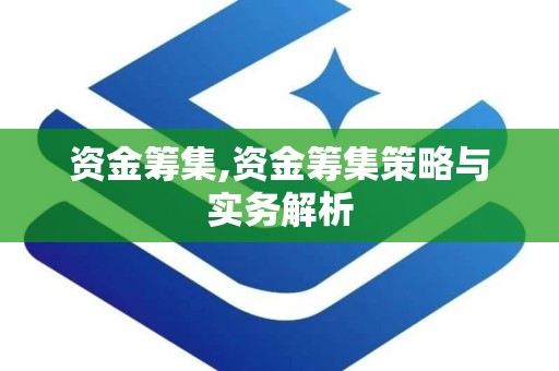 资金筹集,资金筹集策略与实务解析