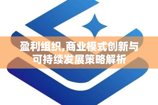 盈利组织,商业模式创新与可持续发展策略解析