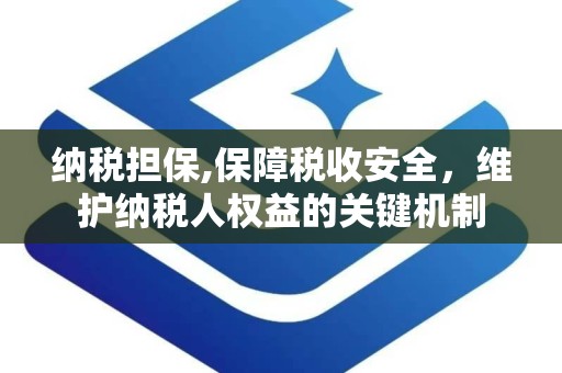 纳税担保,保障税收安全，维护纳税人权益的关键机制