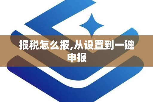 报税怎么报,从设置到一键申报