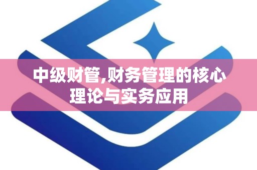 中级财管,财务管理的核心理论与实务应用