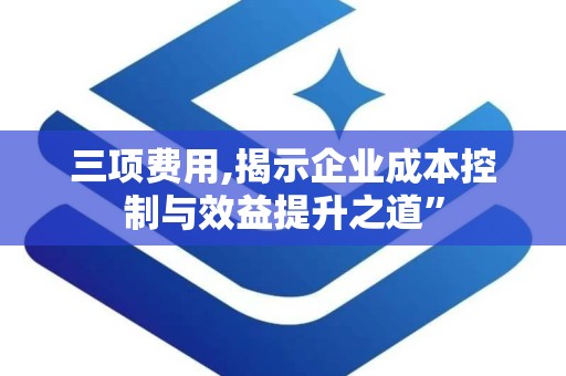 三项费用,揭示企业成本控制与效益提升之道”