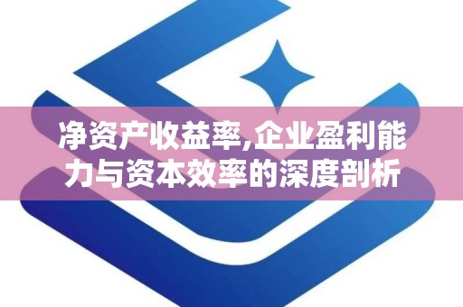 净资产收益率,企业盈利能力与资本效率的深度剖析