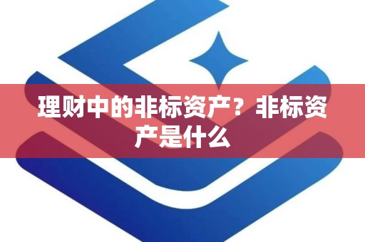 理财中的非标资产？非标资产是什么