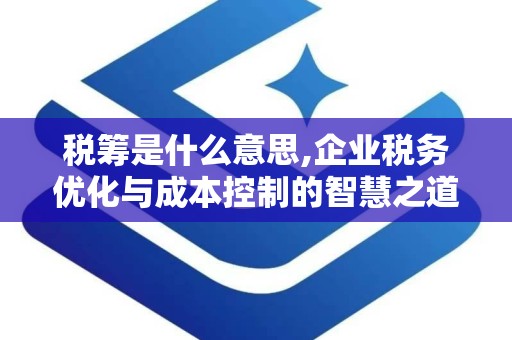 税筹是什么意思,企业税务优化与成本控制的智慧之道