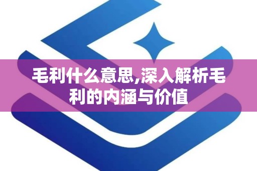 毛利什么意思,深入解析毛利的内涵与价值