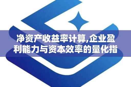 净资产收益率计算,企业盈利能力与资本效率的量化指标