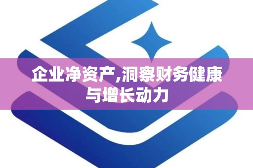 企业净资产,洞察财务健康与增长动力