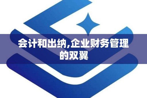 会计和出纳,企业财务管理的双翼