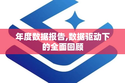 年度数据报告,数据驱动下的全面回顾