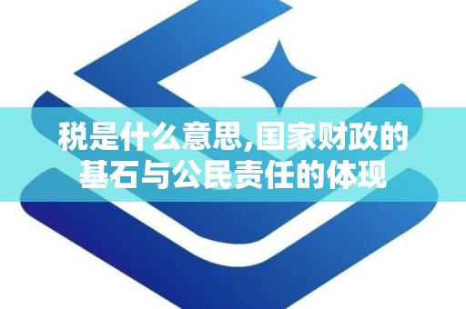 税是什么意思,国家财政的基石与公民责任的体现