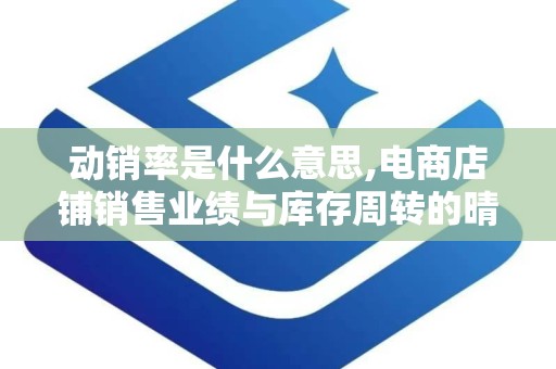 动销率是什么意思,电商店铺销售业绩与库存周转的晴雨表