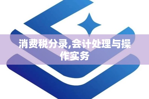 消费税分录,会计处理与操作实务