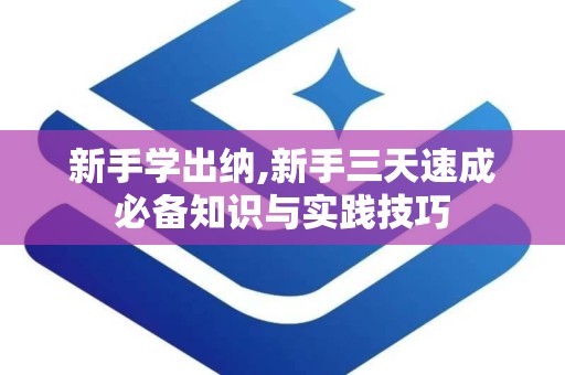 新手学出纳,新手三天速成必备知识与实践技巧