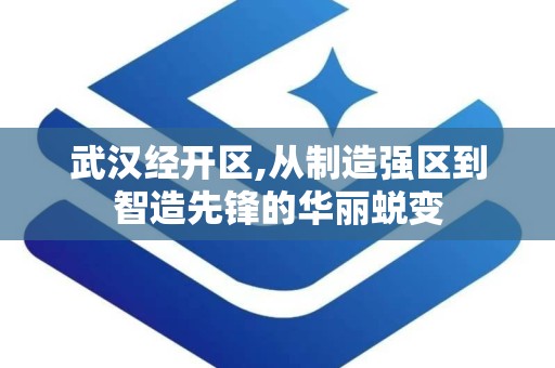 武汉经开区,从制造强区到智造先锋的华丽蜕变