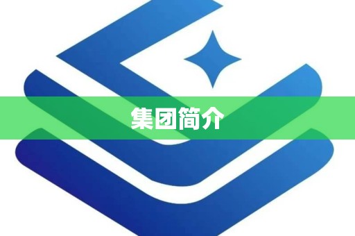 集团简介
