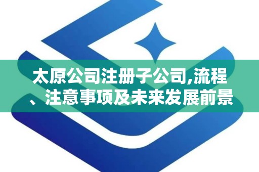 太原公司注册子公司,流程、注意事项及未来发展前景